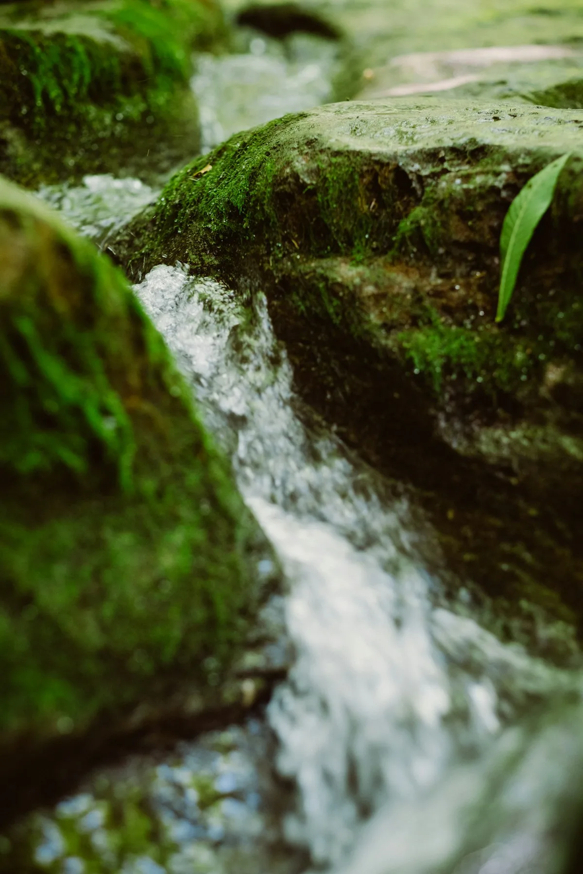 Clear water flowing over rocks